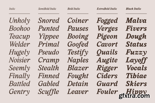 Marjorie Serif + Italic Font Family 72EBRZY