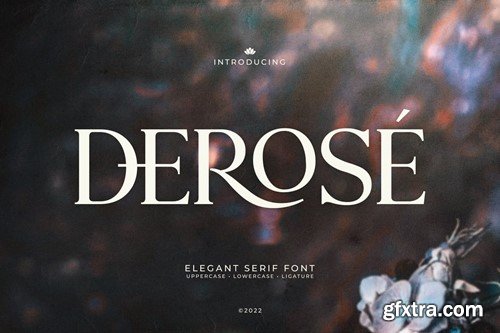 DeRose - Elegant Serif Font BSZKQZW