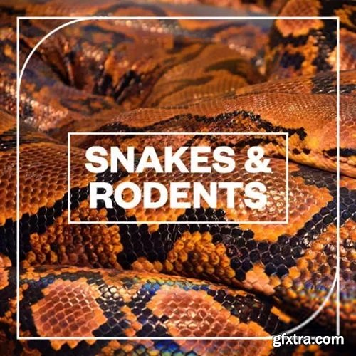 Blastwave FX Snakes and Rodents