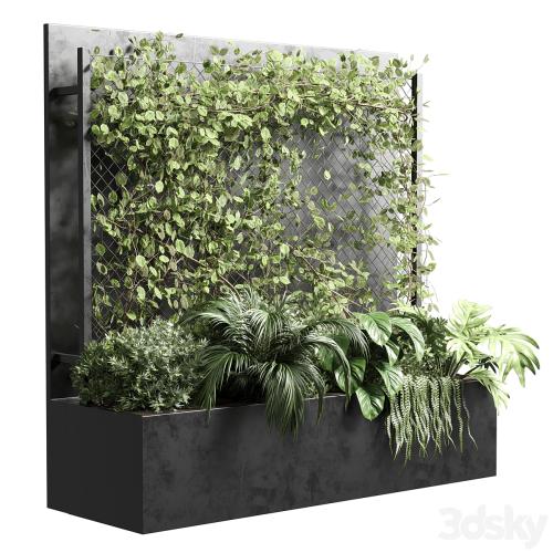 Ivy on Fence fitowall - vertical garden box 01