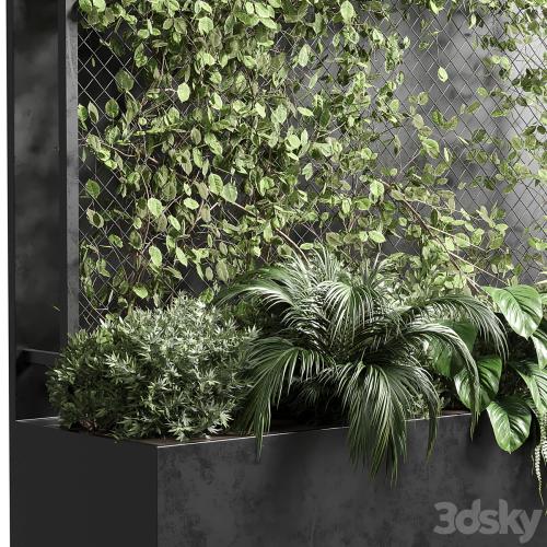 Ivy on Fence fitowall - vertical garden box 01