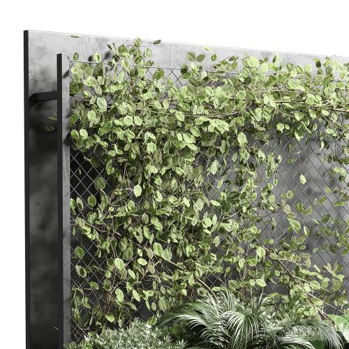 Ivy on Fence fitowall - vertical garden box 01