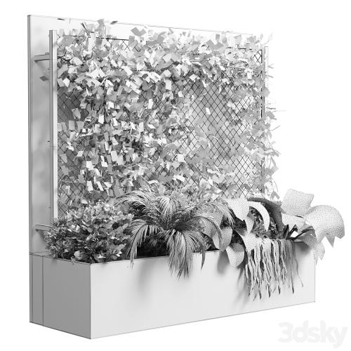 Ivy on Fence fitowall - vertical garden box 01