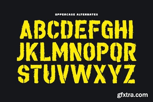 Grunt Typeface ENTC8Q4