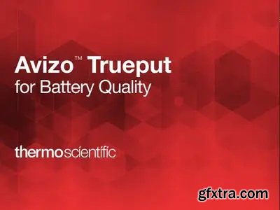 Avizo Trueput Software 2024.1