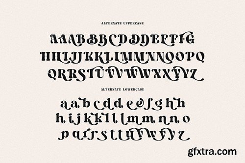 Christopher Retro Bold Serif D73EX6S