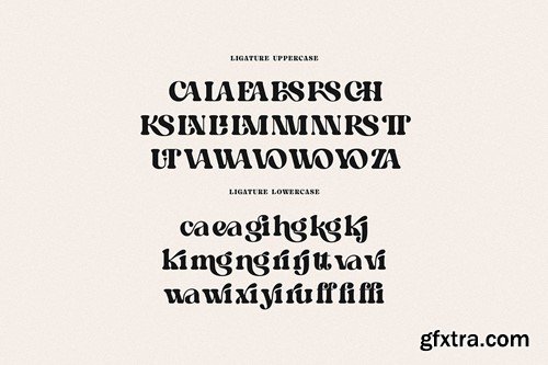 Christopher Retro Bold Serif D73EX6S