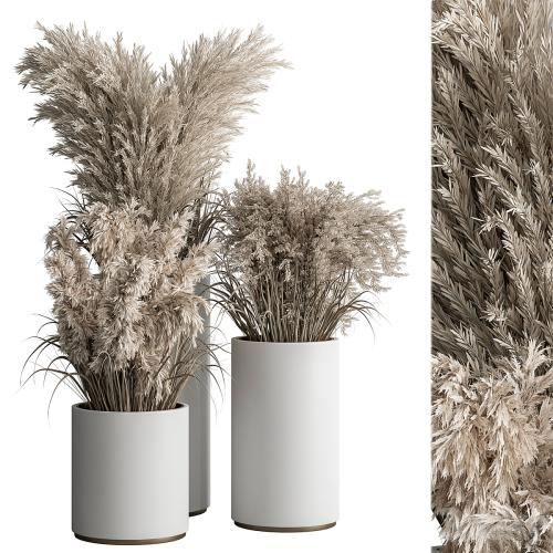 indoor Plant Set 406 - Dried Plant Set in Pot