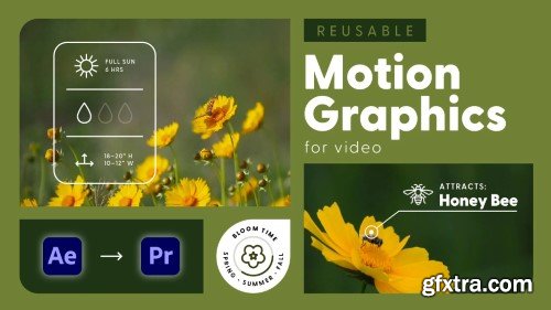 Reusable Motion Graphics for Video: From Adobe After Effects to Premiere