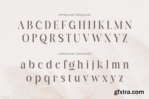 Quaglia - Branding Luxury Font GDESFJH