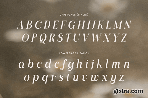 Quaglia - Branding Luxury Font GDESFJH