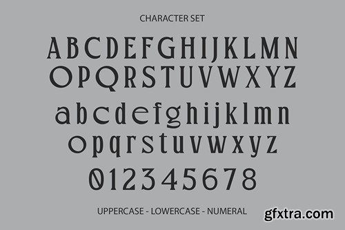 Monique - Unique Serif Font TVGHCYL