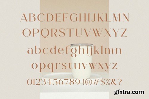 Terabela - Elegant Display Serif Font E7LJ3CW