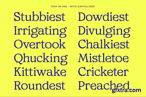 Ciscela - Unique Serif Display 945NEK3