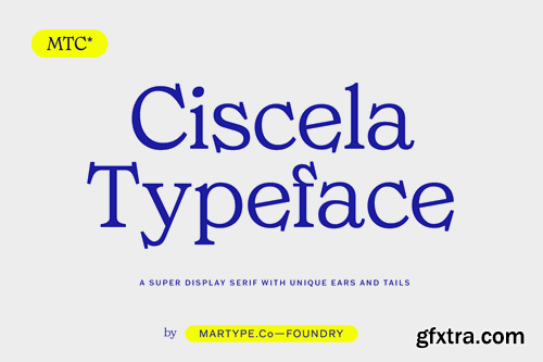 Ciscela - Unique Serif Display 945NEK3