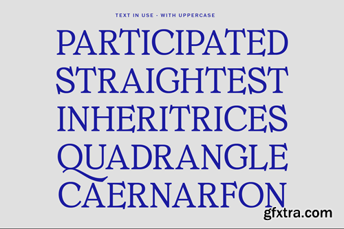 Ciscela - Unique Serif Display 945NEK3