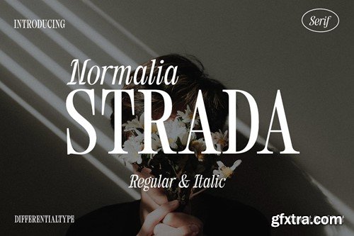 Normalia Strada - Elegant Serif Font UKC7RMT