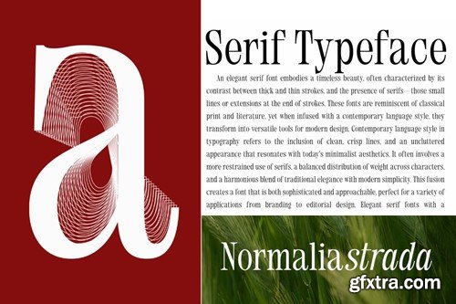 Normalia Strada - Elegant Serif Font UKC7RMT