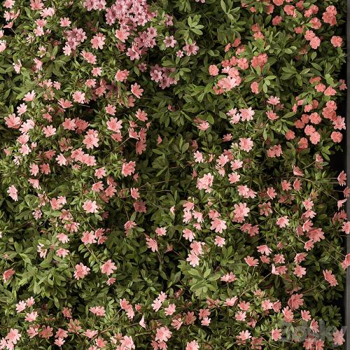 Flower Vertical Garden - Wall Decor 62