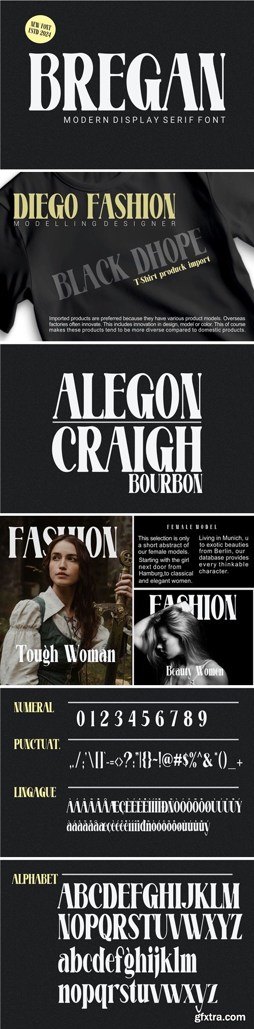 Bregan - Modern Display Serif Font