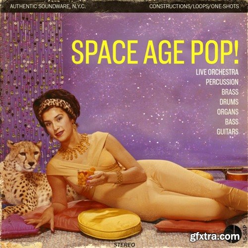 Authentic Soundware Space Age Pop!