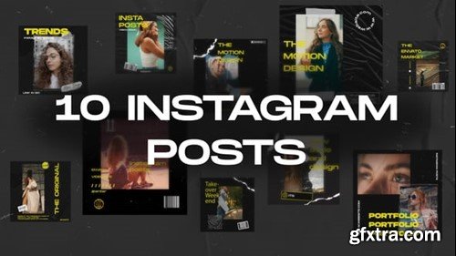 Videohive 10 Instagram Posts 54804544