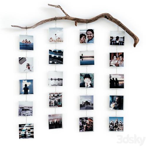 Photo branch