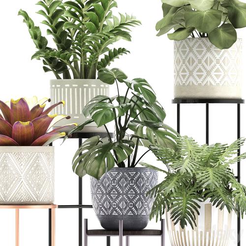 Collection of plants 333. Flower shelf, stand, Zamioculcas, monstera, Bromelia, Philodendron, houseplants, stand, Scandinavian style, flower