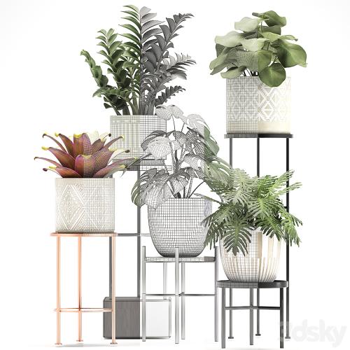 Collection of plants 333. Flower shelf, stand, Zamioculcas, monstera, Bromelia, Philodendron, houseplants, stand, Scandinavian style, flower