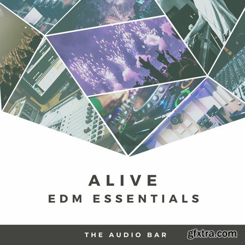 The Audio Bar Alive EDM Essentials