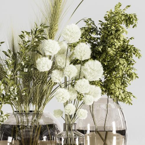 Collaction_Plants_Bouquet_21