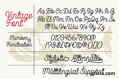 Vintage - Rounded Monoline Font 2SFLC7N