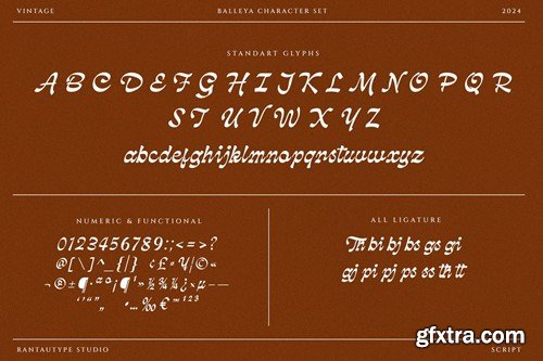 Balleya Vintage Script Font QFQ7GX5