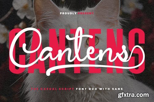 Cantens Casual Script Font Duo J3PXZYF