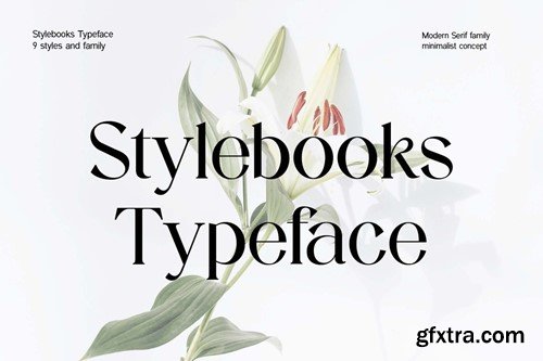 Stylebooks Typeface Modern Serif Family Font QYKAXBK