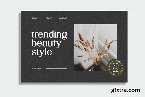 Stylebooks Typeface Modern Serif Family Font QYKAXBK