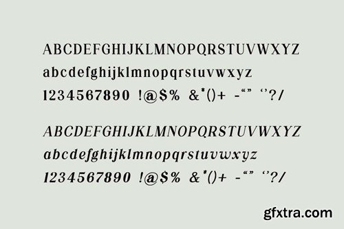 Silvex Editorial Serif Family Font DZ3KFGB