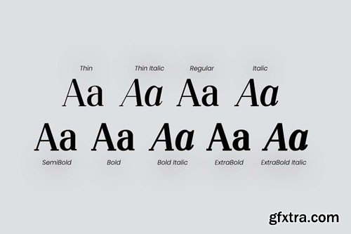 Silvex Editorial Serif Family Font DZ3KFGB