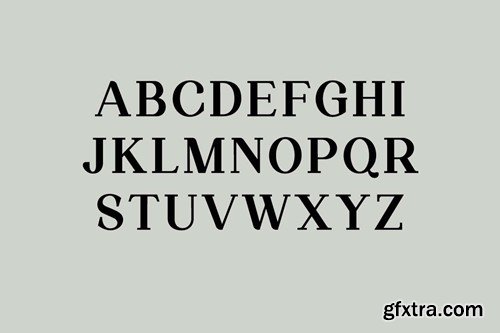 Silvex Editorial Serif Family Font DZ3KFGB