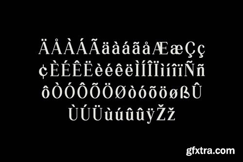 Silvex Editorial Serif Family Font DZ3KFGB