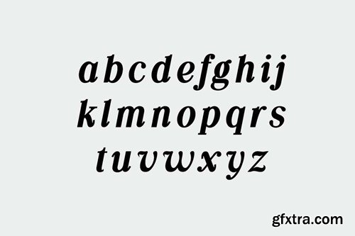 Silvex Editorial Serif Family Font DZ3KFGB