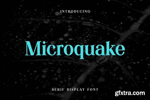 Microquake Serif Display Font GDLUY3G