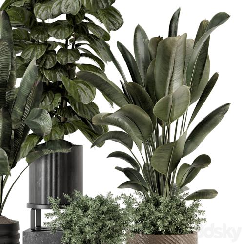 Indoor Plants in rusty Concrete Pot - Set 1291