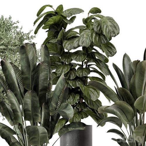 Indoor Plants in rusty Concrete Pot - Set 1291