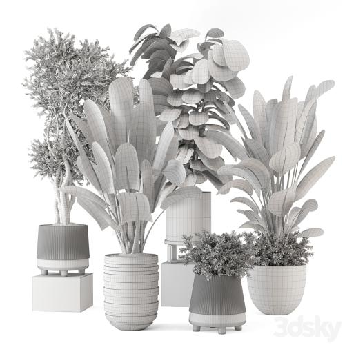 Indoor Plants in rusty Concrete Pot - Set 1291