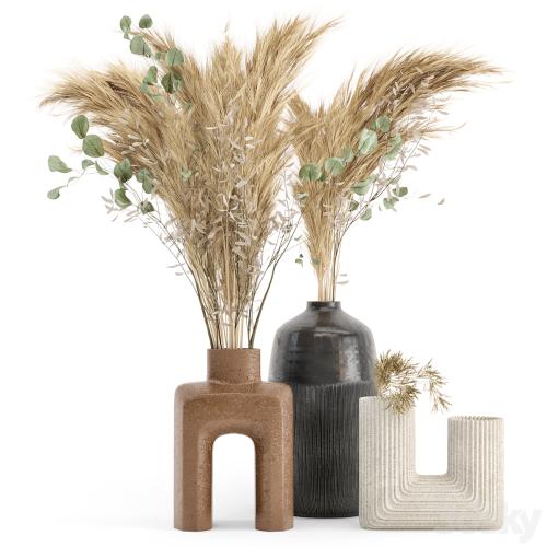 Dry plants 19 - Dried Plantset Pampas with Concrete vase