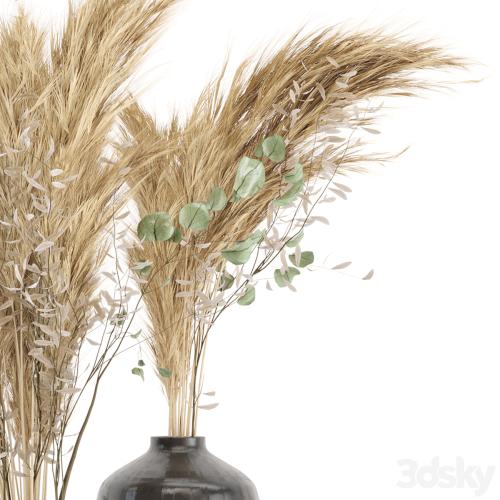 Dry plants 19 - Dried Plantset Pampas with Concrete vase