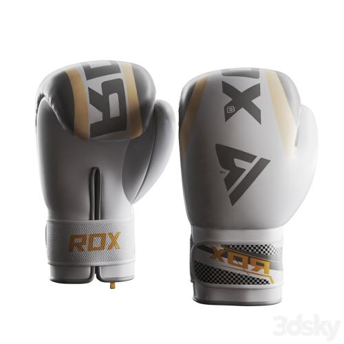 Set Punching bag and gloves from ROX_2