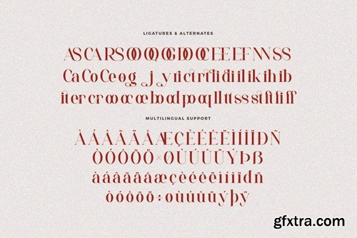 Caliger Beautiful Serif Font LR6RMCF