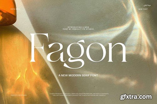 Fagon Modern Serif Font GFDRR2N